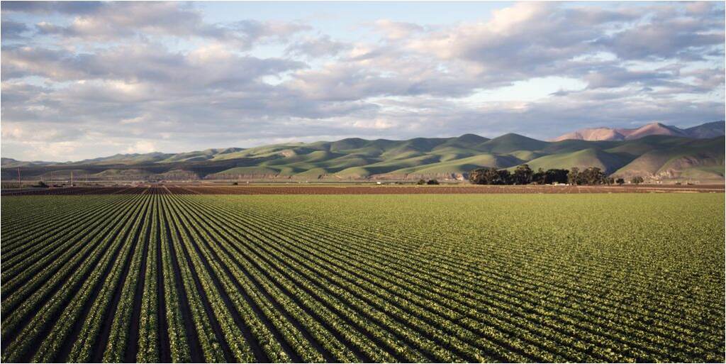 área rural monitorada por automação agrícola