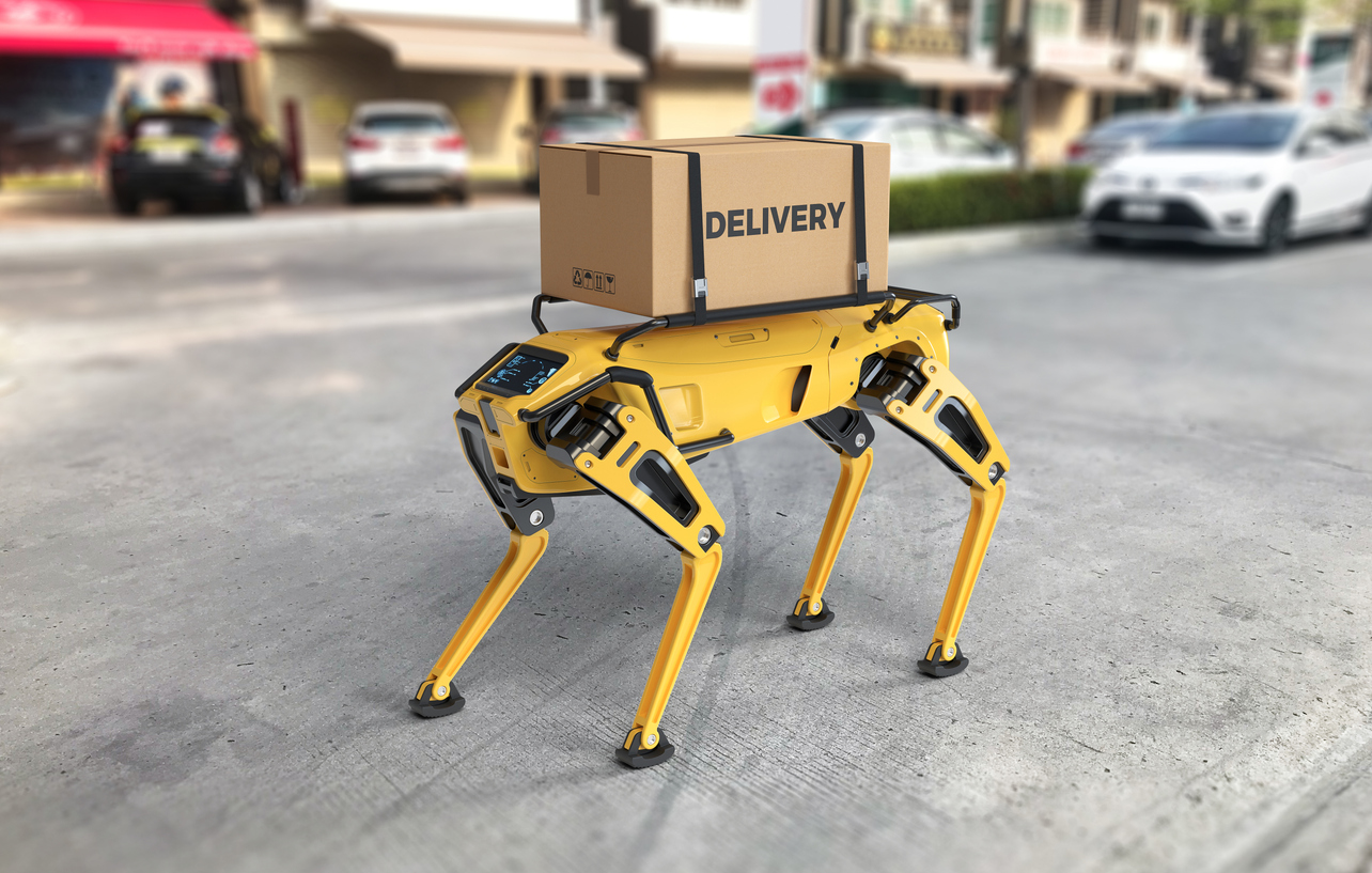 Robos com pernas